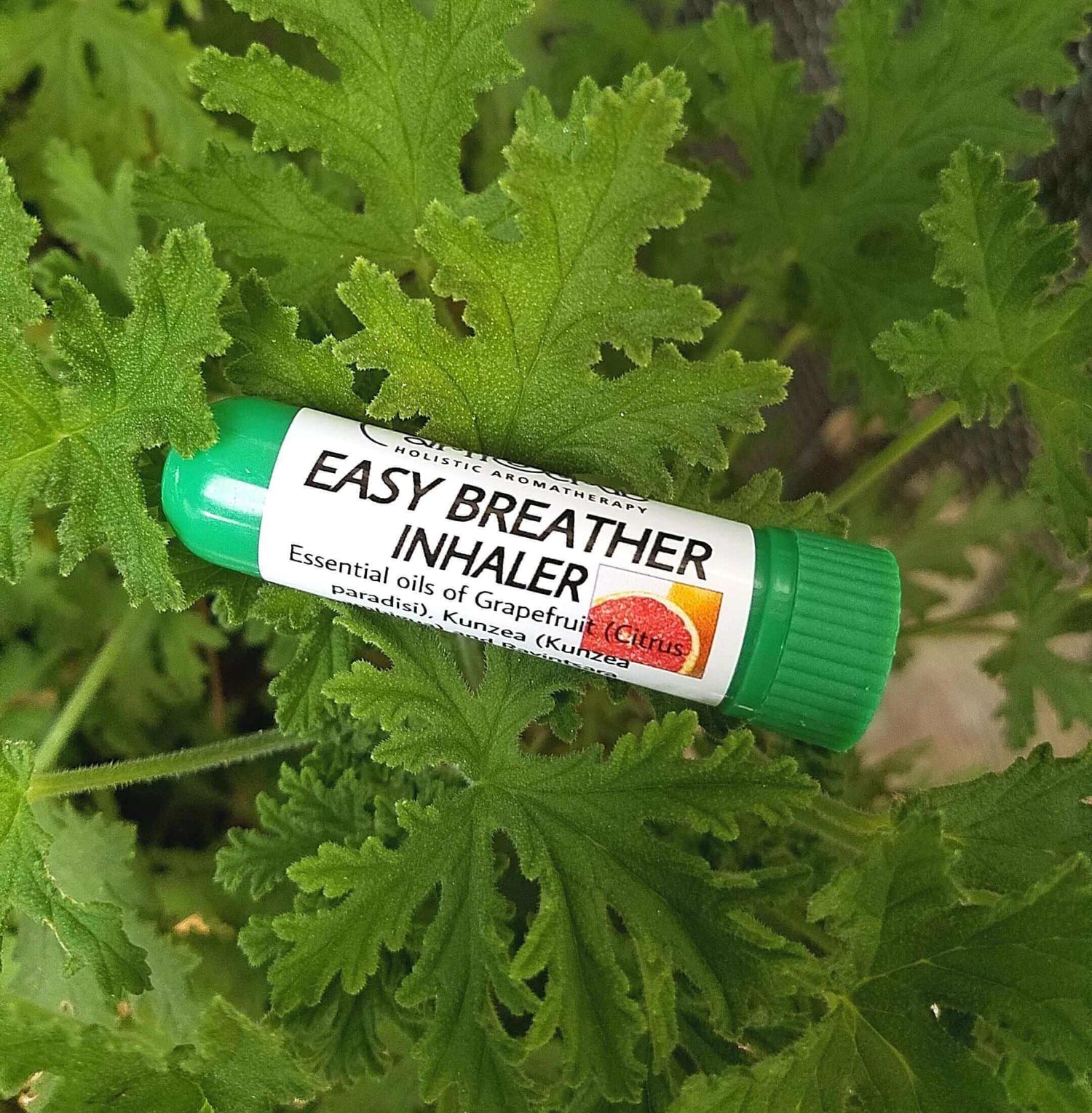 ENVIRONMENTAL ALLERGIES and the benefits of inhaling essential oils!