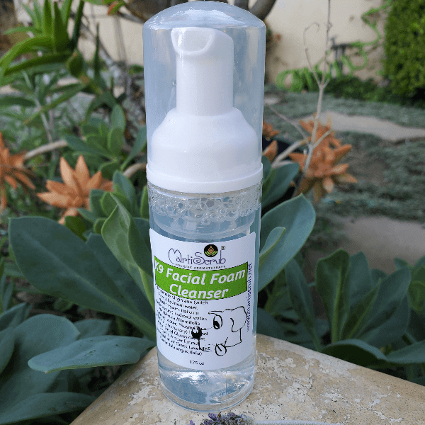 K9 Facial Foam Cleanser bottle for easy dog facial cleaning after outdoor activities like parks or beach.
